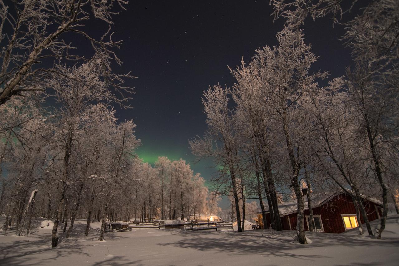 Husky Lodge Hostel Kiruna Exterior photo