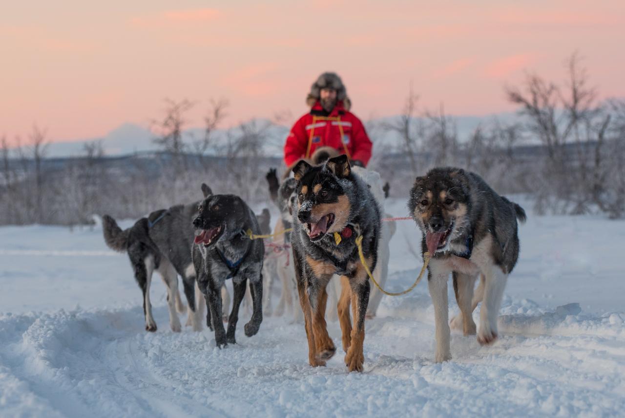 Husky Lodge Hostel Kiruna Exterior photo